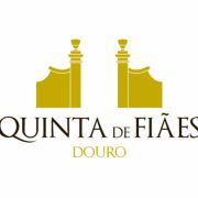 Bruno Vieira - Ourém - Design de Impressão