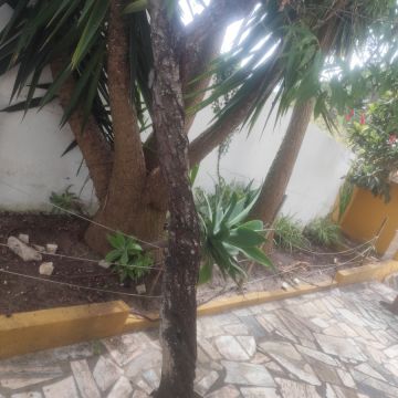Artur - Sesimbra - Swimming Pool Cleaning or Maintenance