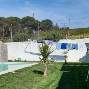 Rafael limpeza de jardins - Vila Nova de Famalicão - Baumpflege