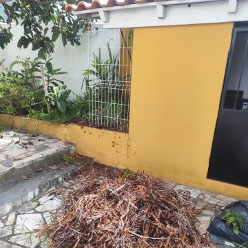 Artur - Sesimbra - Gazebo Repair and Maintenance