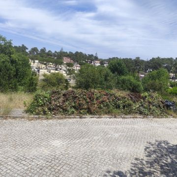 Artur - Sesimbra - Multi Service Lawn Care