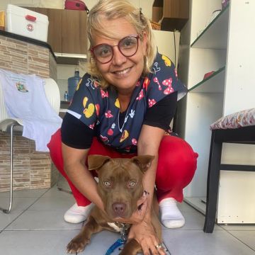 Luciana Félix - Setúbal - Hundeausführung