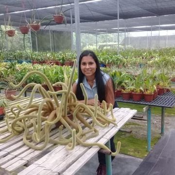O mundo das plantas - Benavente - Cortar y podar el césped