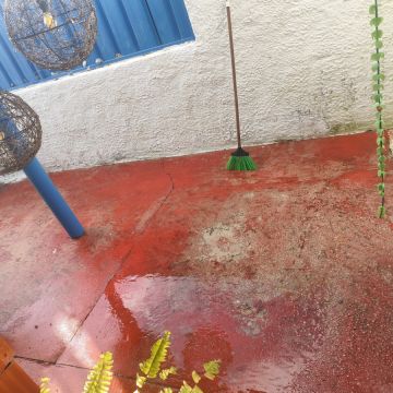 Artur - Sesimbra - Weeding