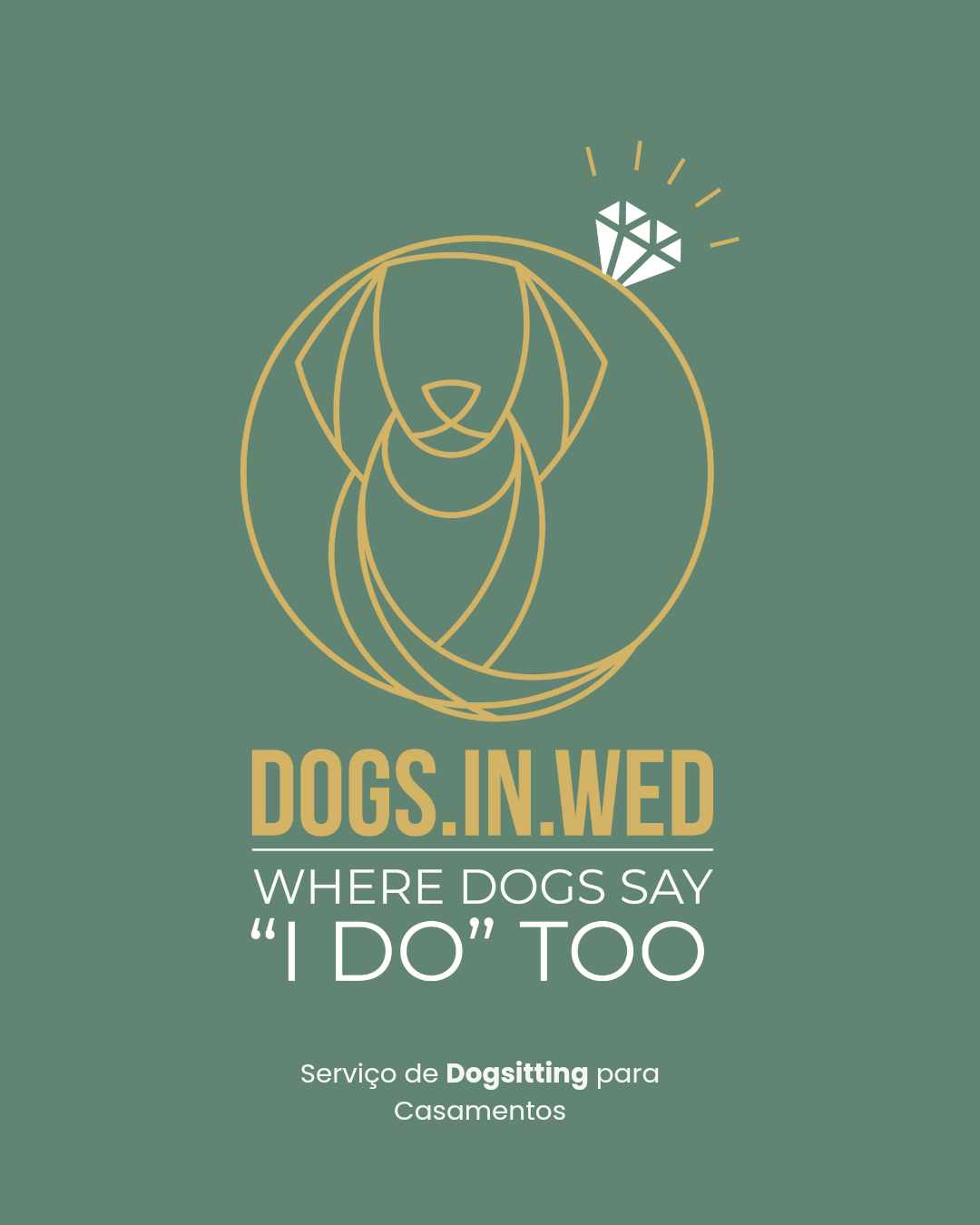 Dogs In Wed - Vila Verde - Katzensitter
