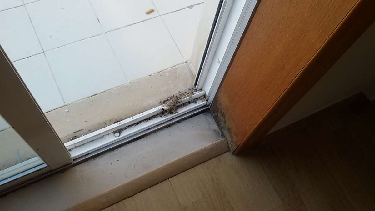 Um Brinco - Amadora - Office Cleaning (Recurring)