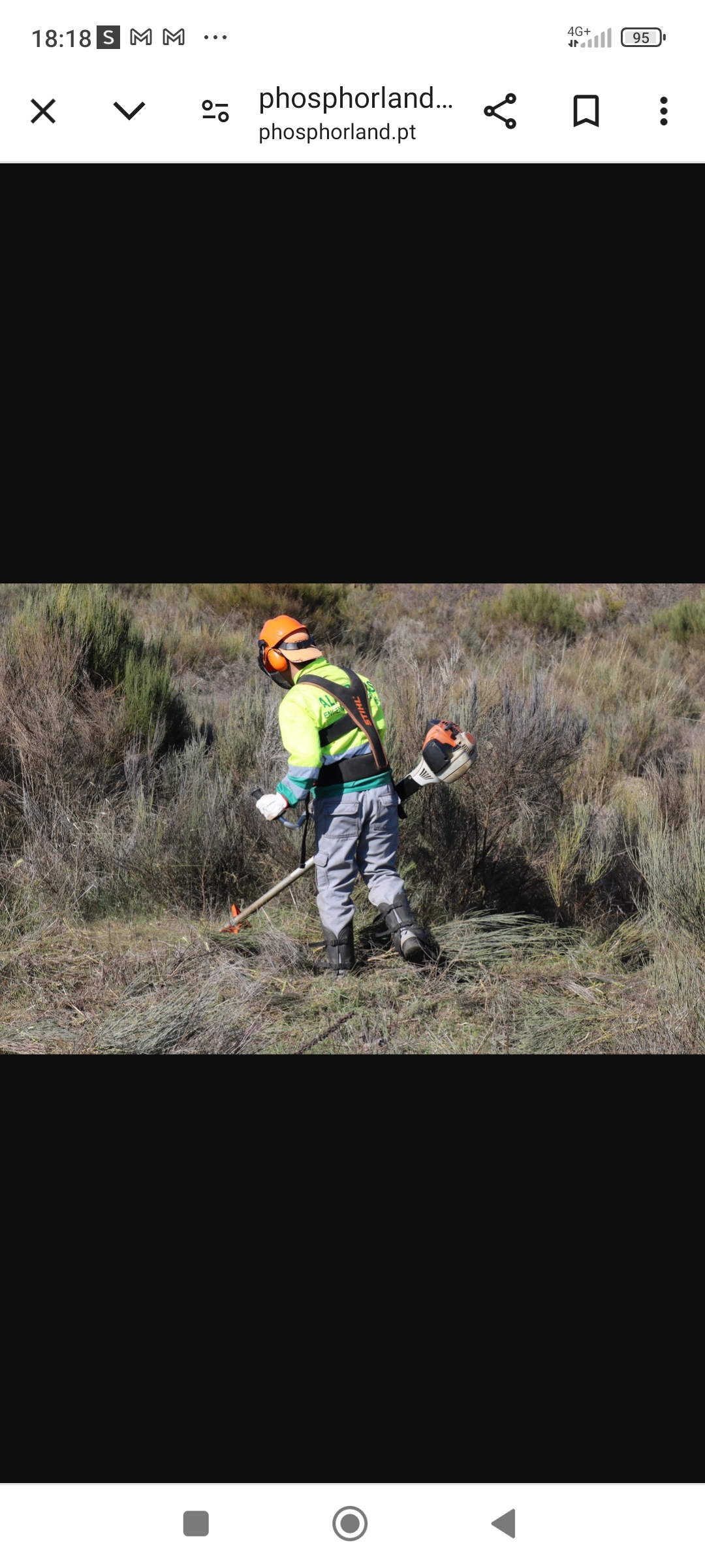 Luís de Grijó - Vila Nova de Gaia - Tree Trimming and Maintenance