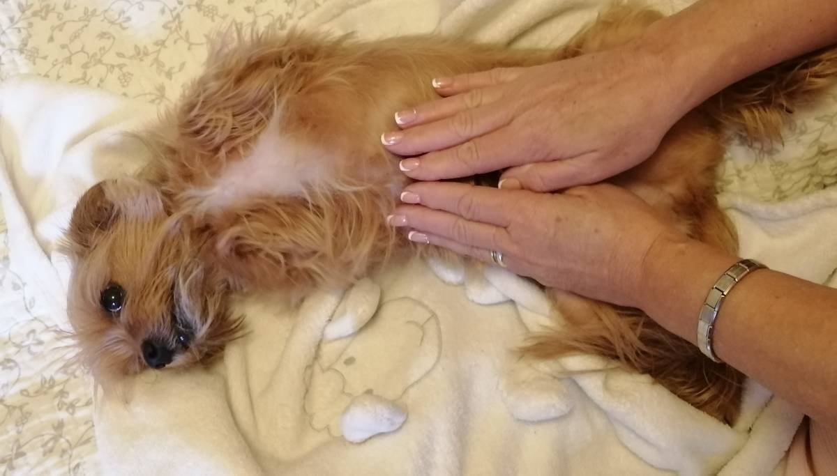 Ana Nobre Terapeuta - Almeirim - Massagem para Casais