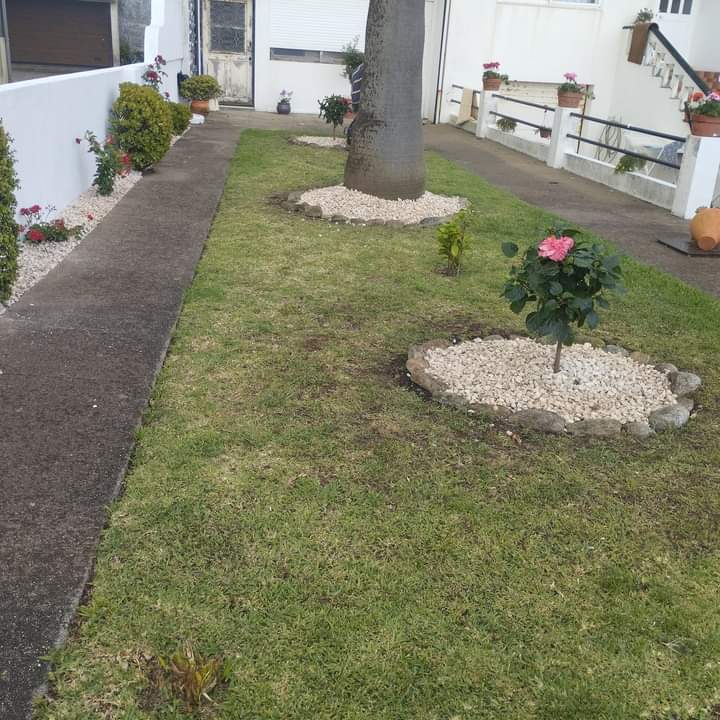 Operador de Jardinagem - Maia - Remoção de Arbustos