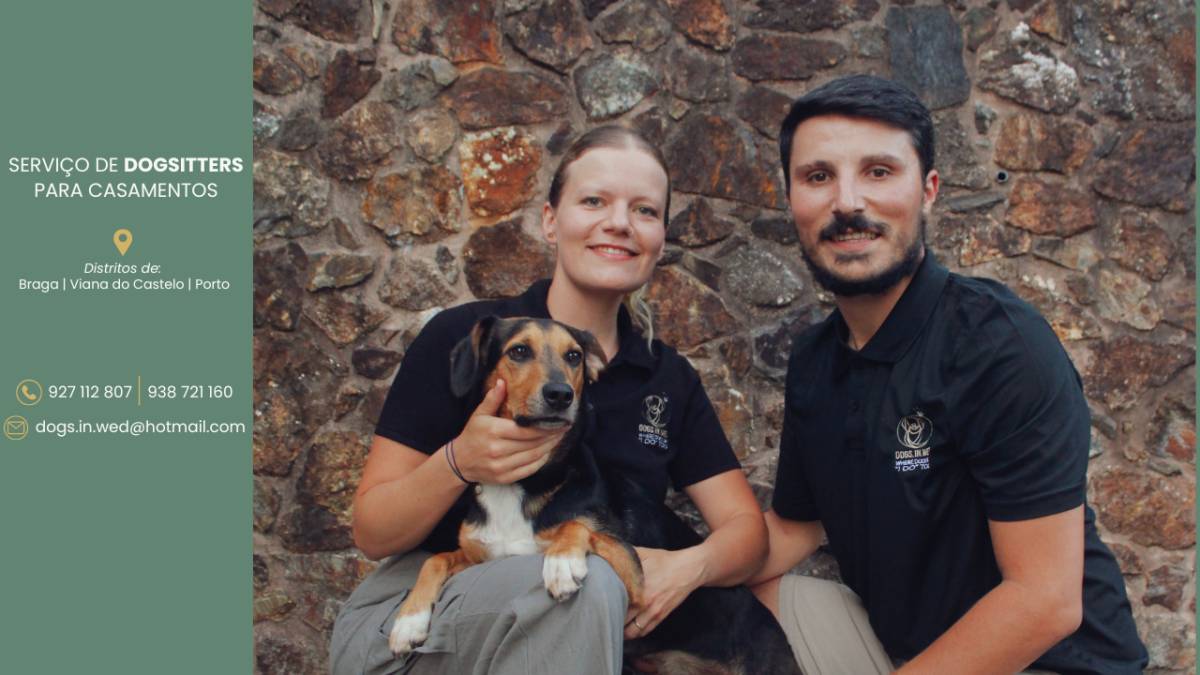 Dogs In Wed - Vila Verde - Pet Sitting