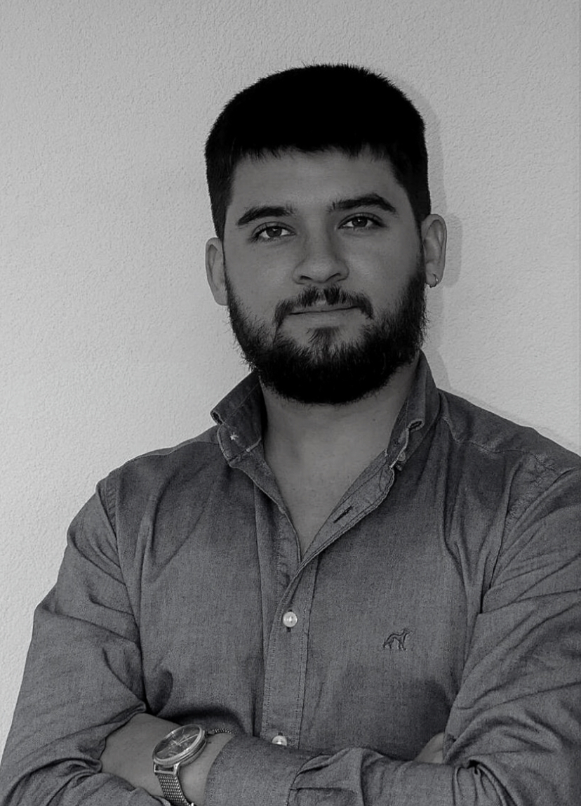 Pedro Araújo Pereira - Barcelos - Poda y mantenimiento de árboles