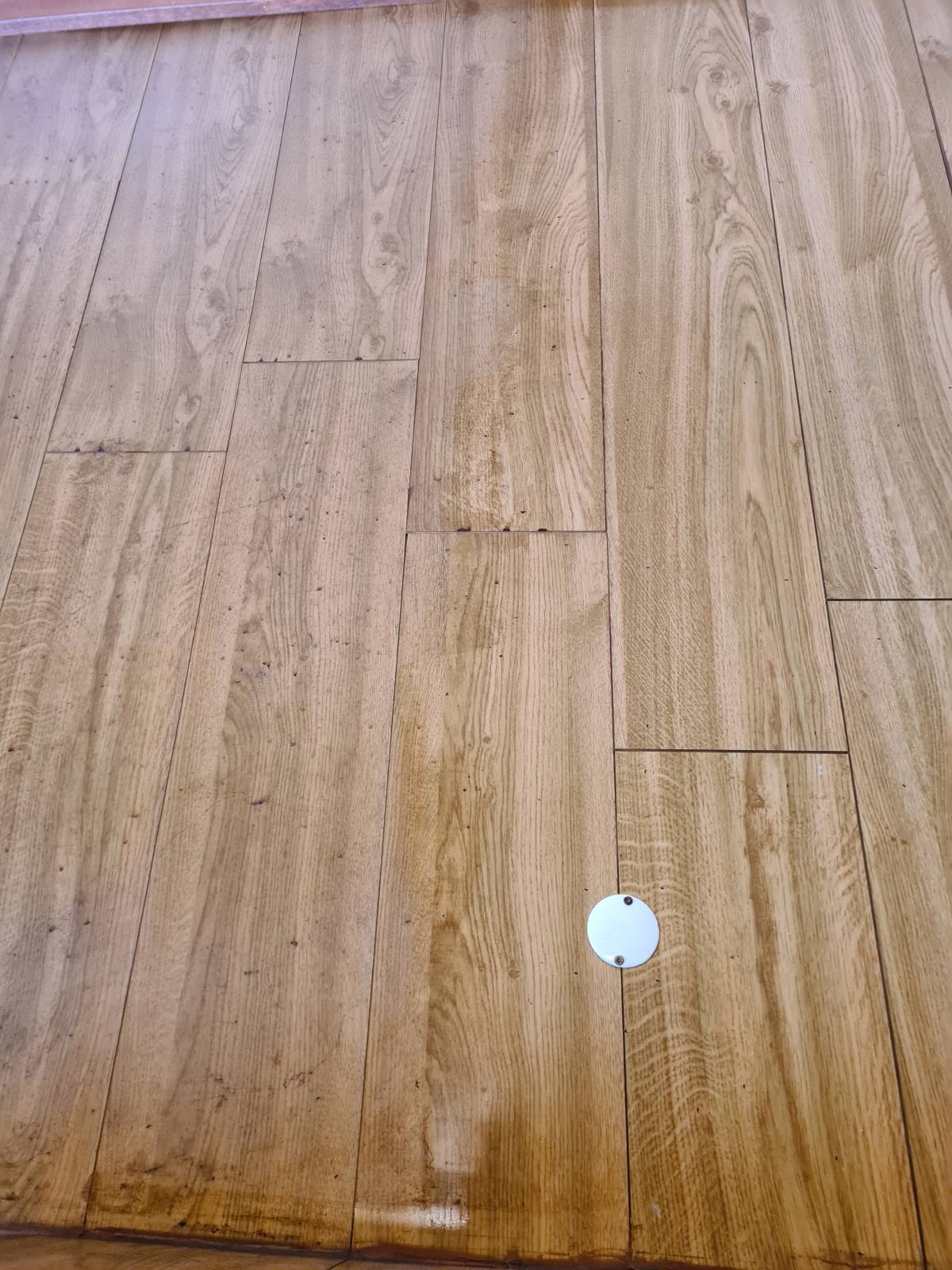 Clean Service - Ovar - House Cleaning (Recurring)