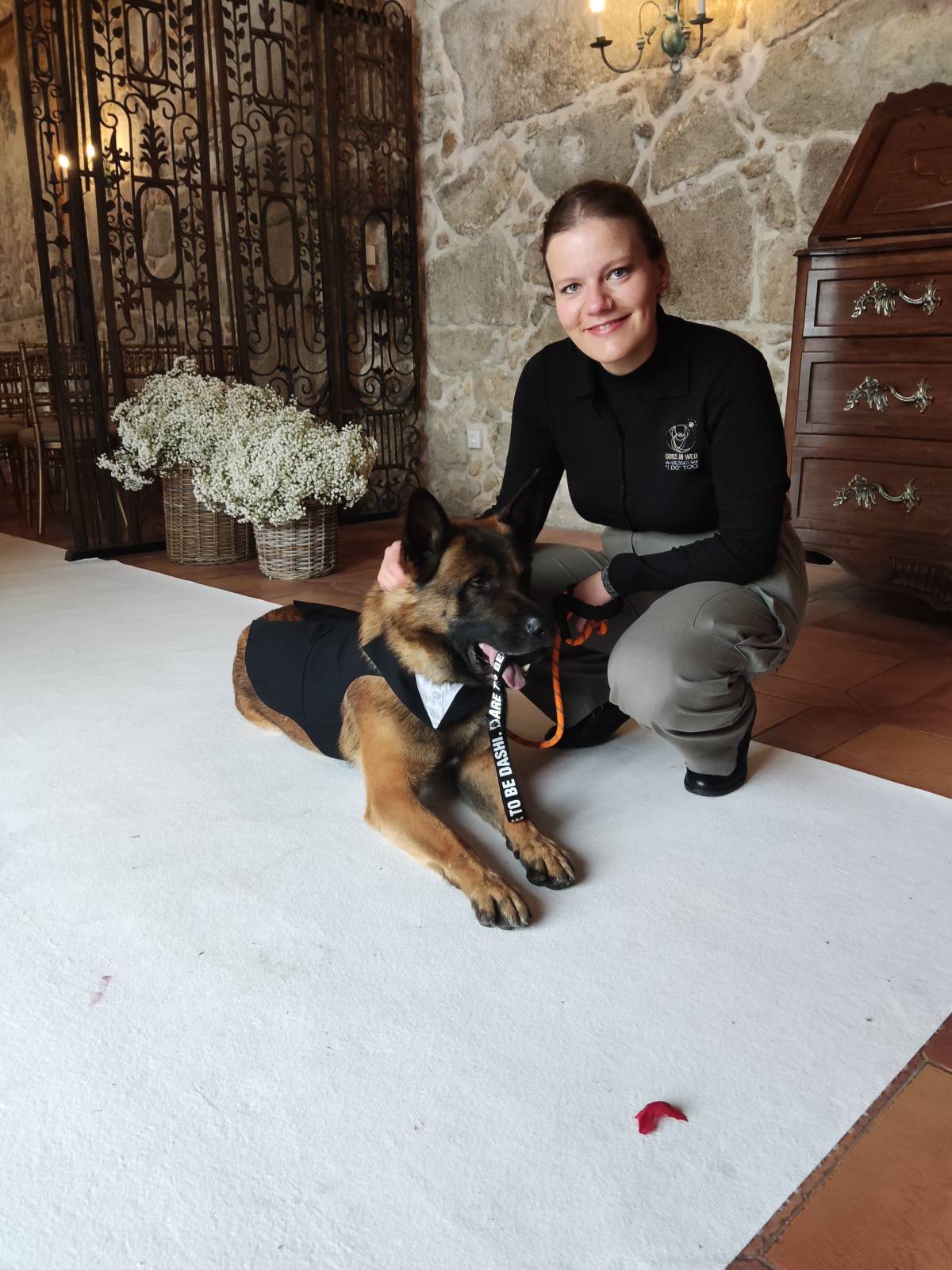 Dogs In Wed - Vila Verde - Haustierbetreuung