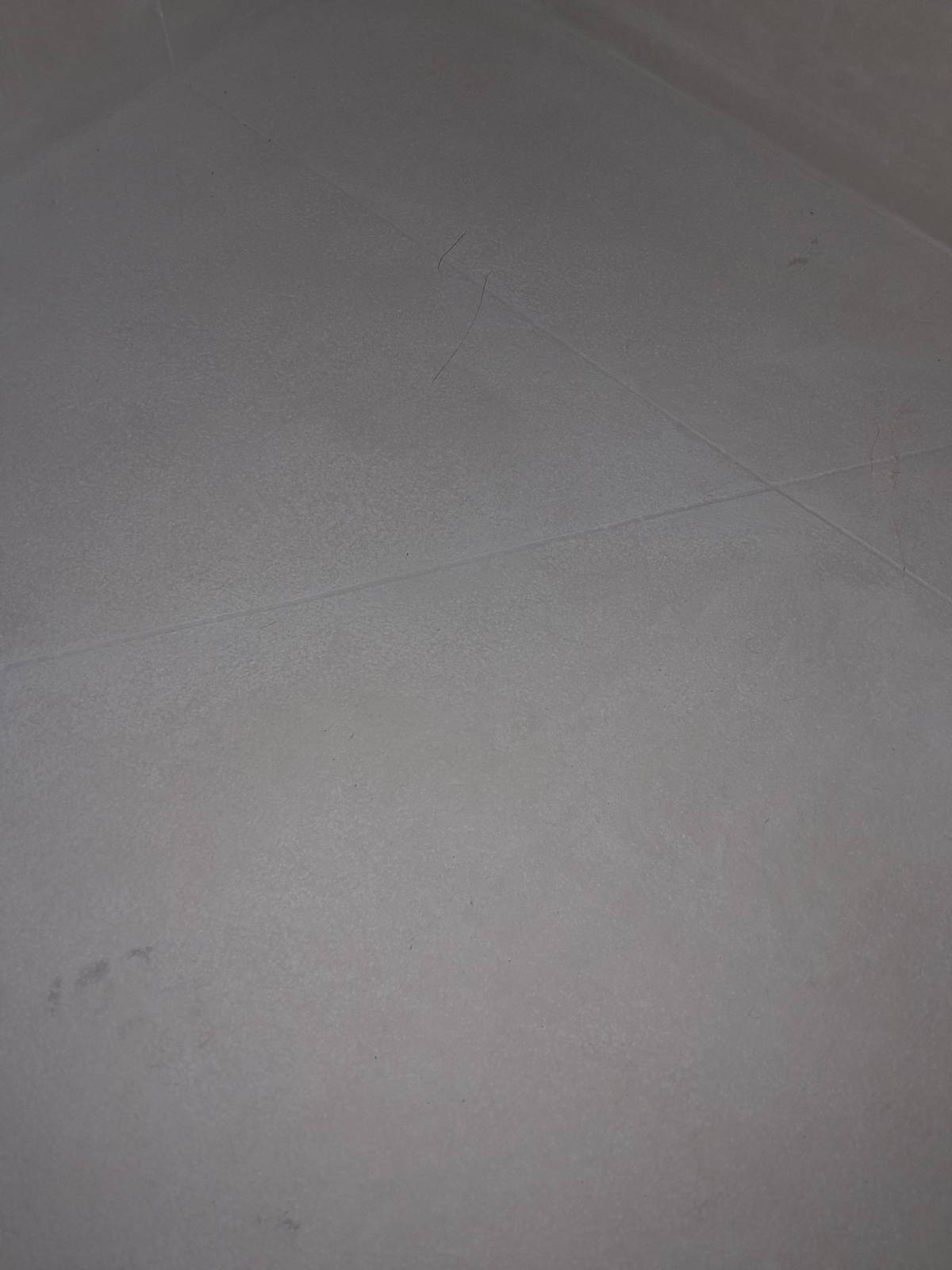 Nerbel Maiz Unipessoal Lda - Faro - Limpieza de oficinas (recurrente)