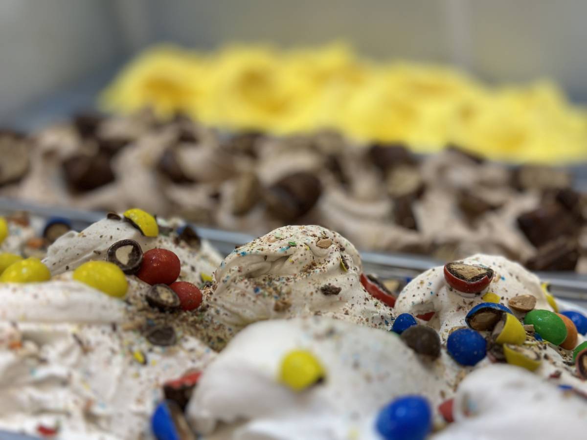 Amore Freddo - Gelados Artesanais - Pombal - Ice Cream Cart Rental