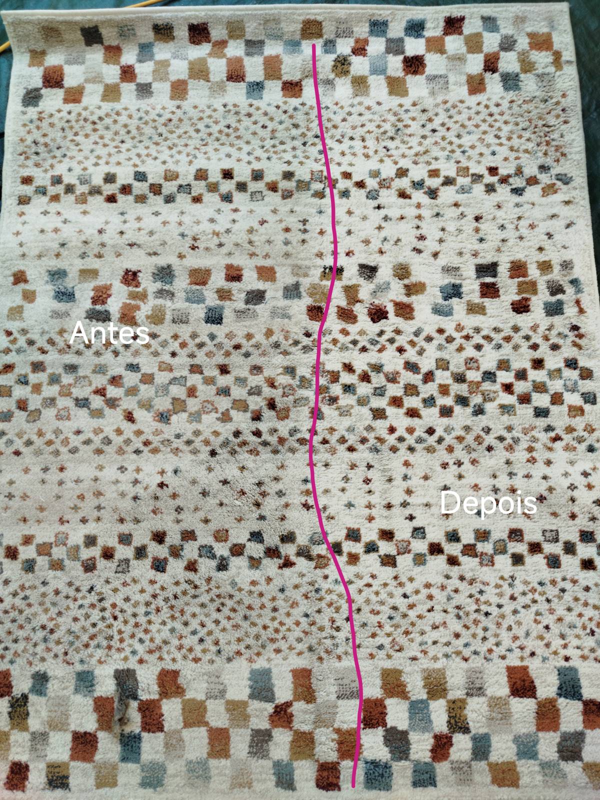 Eva Gomes - Bombarral - Organização da Casa