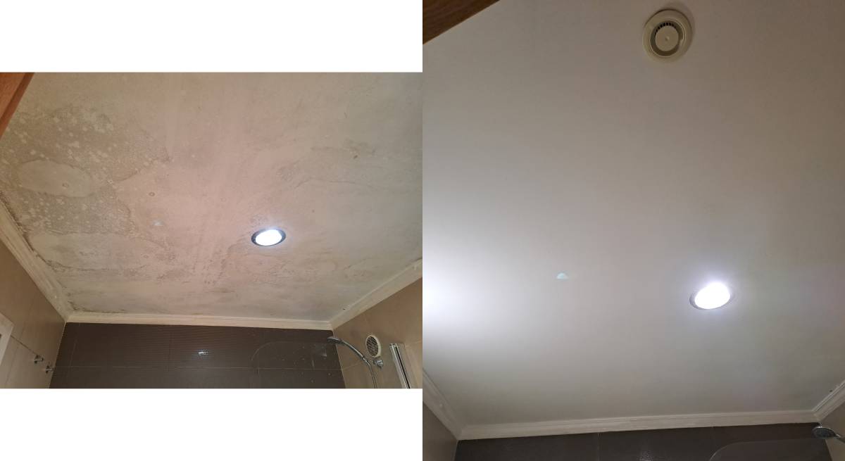 Alba - Odivelas - Window Blinds Cleaning