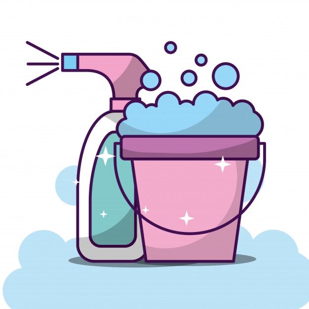 Raquel - Viseu - Deep or Spring Cleaning
