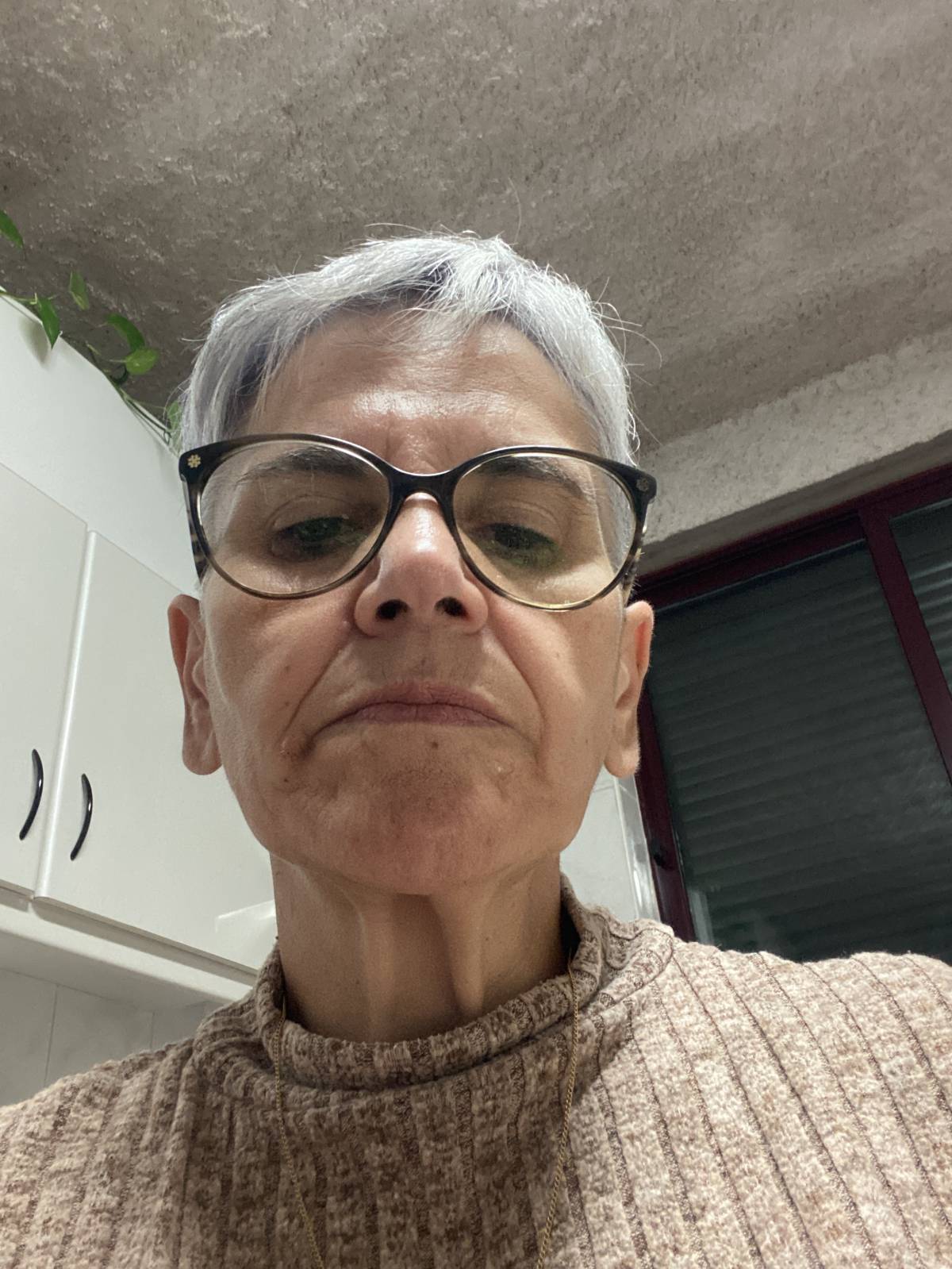 Limpeza em casa particulares e também passar a ferro - Viseu - Organização da Casa