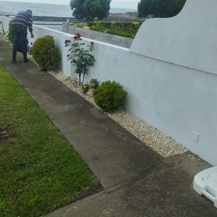 Operador de Jardinagem - Maia - Plantação de Árvores