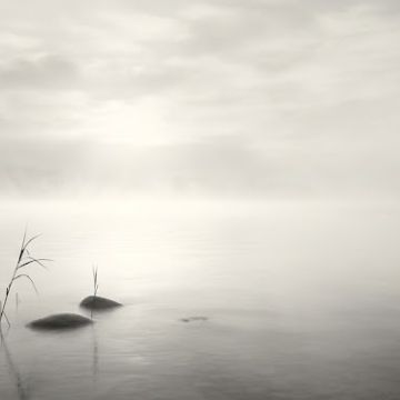 Miguel Marques - Lisboa - Paartherapie