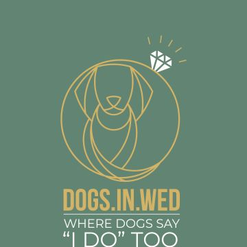 Dogs In Wed - Vila Verde - Katzensitter