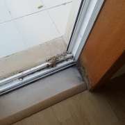 Um Brinco - Amadora - Office Cleaning (Recurring)