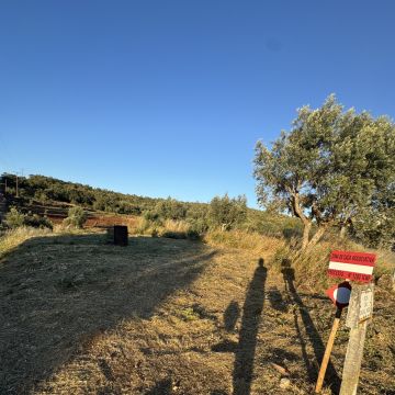 TN Roçagens Neves - Ferreira do Zêzere - Poda e Manutenção de Árvores