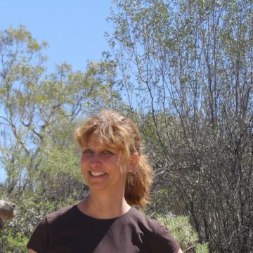 Teresa Sobral Farrajota - Albufeira - Franchise Consulting and Development