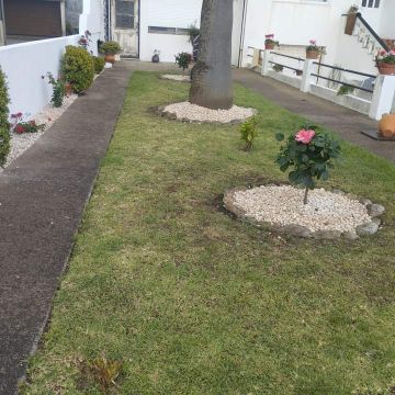 Operador de Jardinagem - Maia - Remoção de Arbustos
