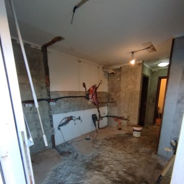 JP Remodelações - Porto - Remoção de Tronco de Árvore