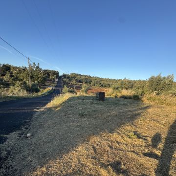 TN Roçagens Neves - Ferreira do Zêzere - Tratamento de Relvado