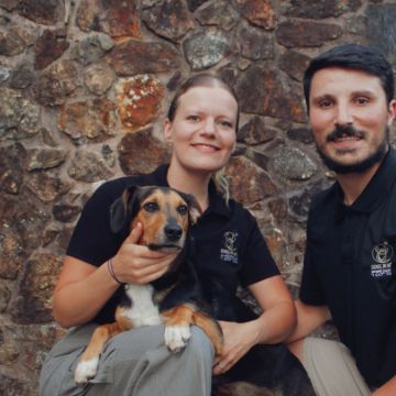 Dogs In Wed - Vila Verde - Pet Sitting