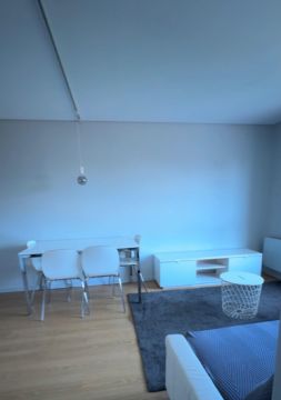 Pintor de Casas