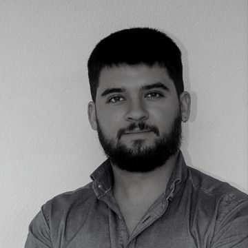 Pedro Araújo Pereira - Barcelos - Poda y mantenimiento de árboles