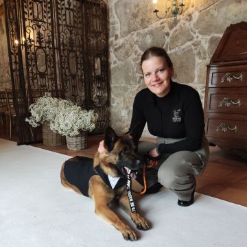 Dogs In Wed - Vila Verde - Haustierbetreuung