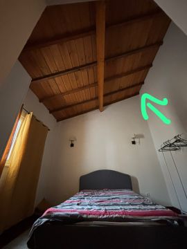 Exterminador de Percevejos