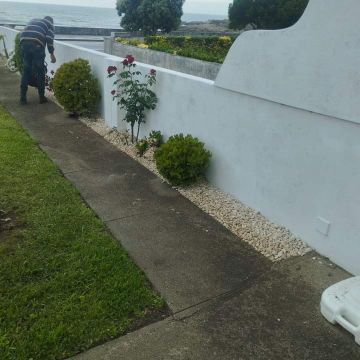 Operador de Jardinagem - Maia - Plantação de Árvores