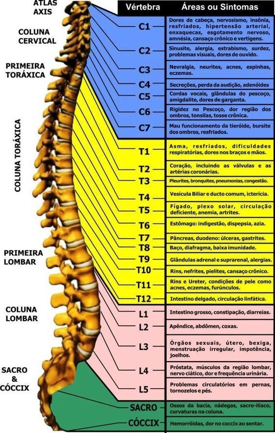 Ítalo Giordani Bortolozo - Almada - Fisioterapia