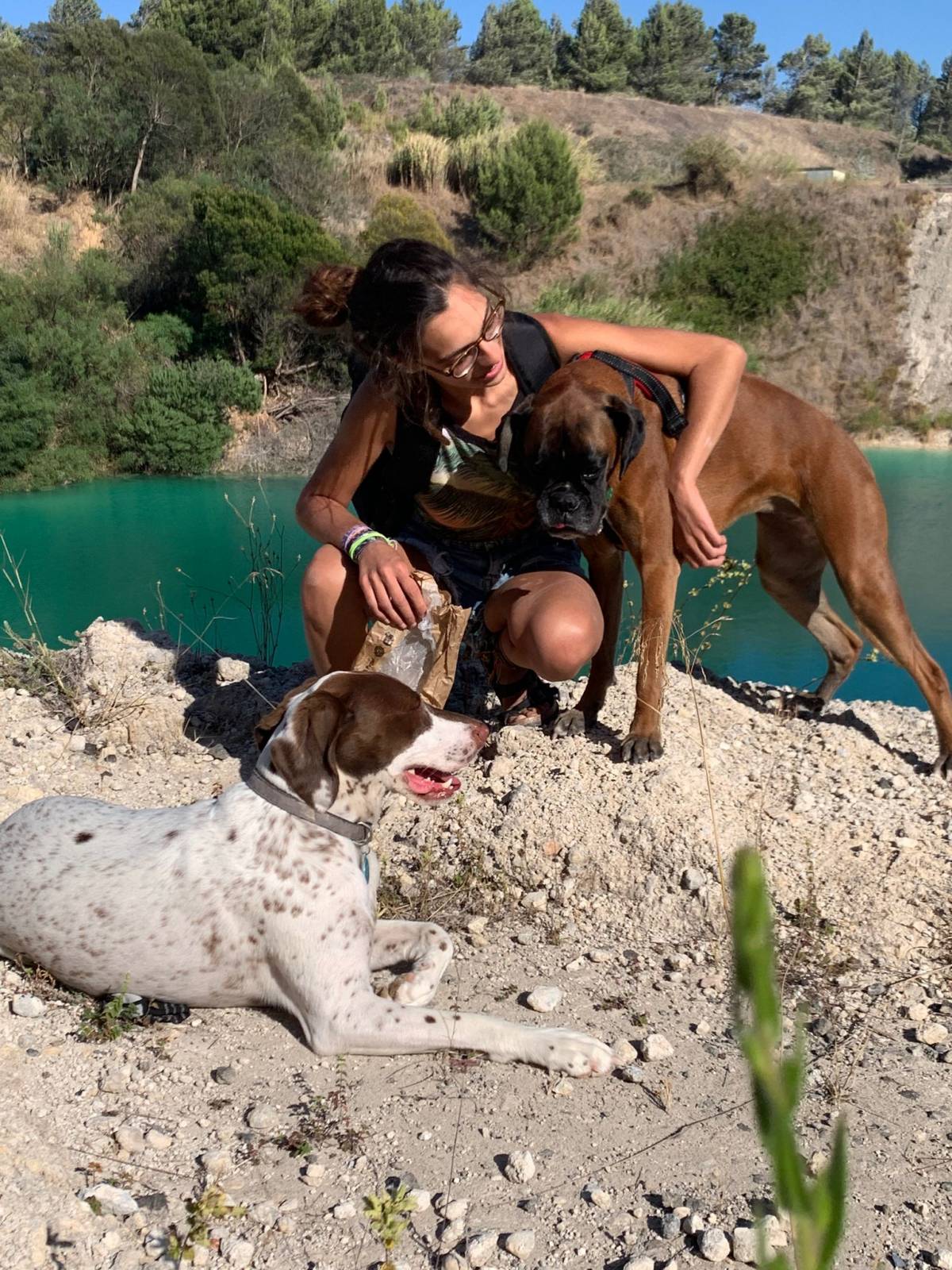 Ema - Amadora - Dog Hotel