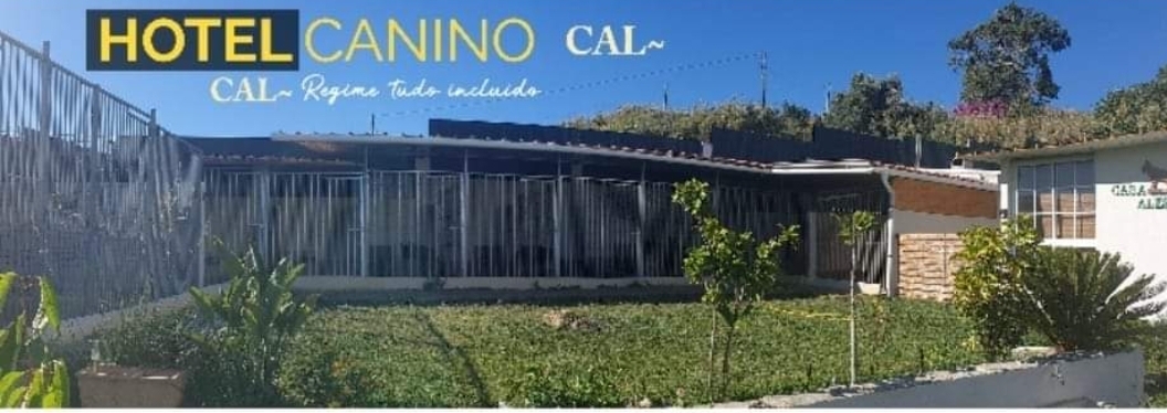João lopes - Vila Franca de Xira - Hundetraining - Privatunterricht