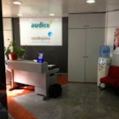 Audico - Contabilidade e Gestão Empresarial, Lda. - Porto - Tax Preparation