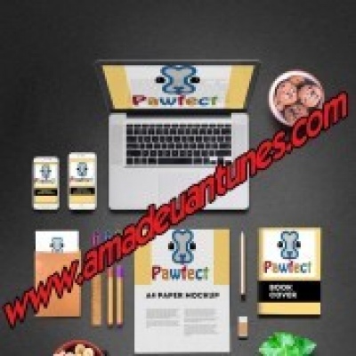 Amadeu Antunes - Cascais - Web Design