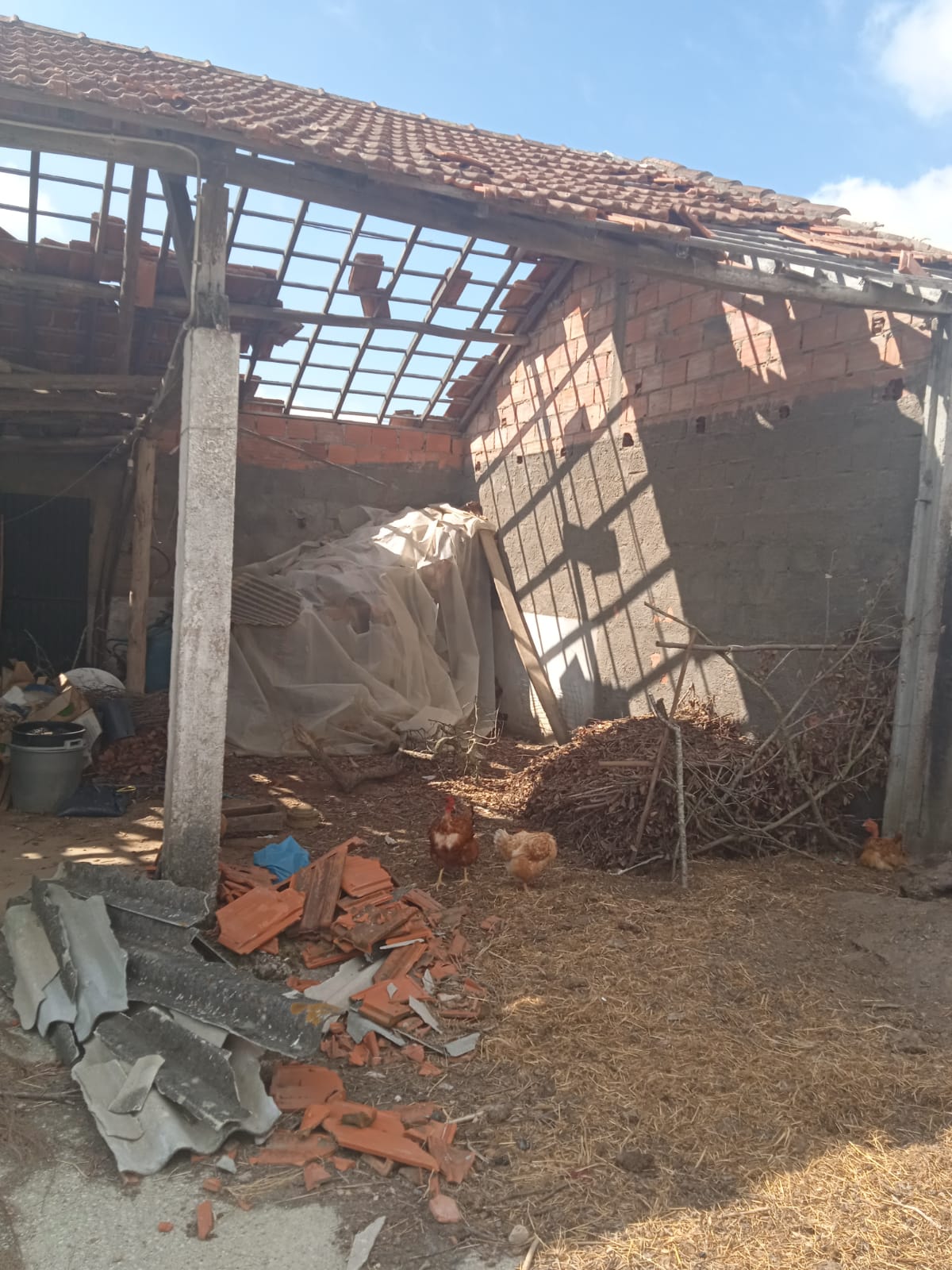 R.c costruçaoes - Pombal - Revestimento de Pavimento