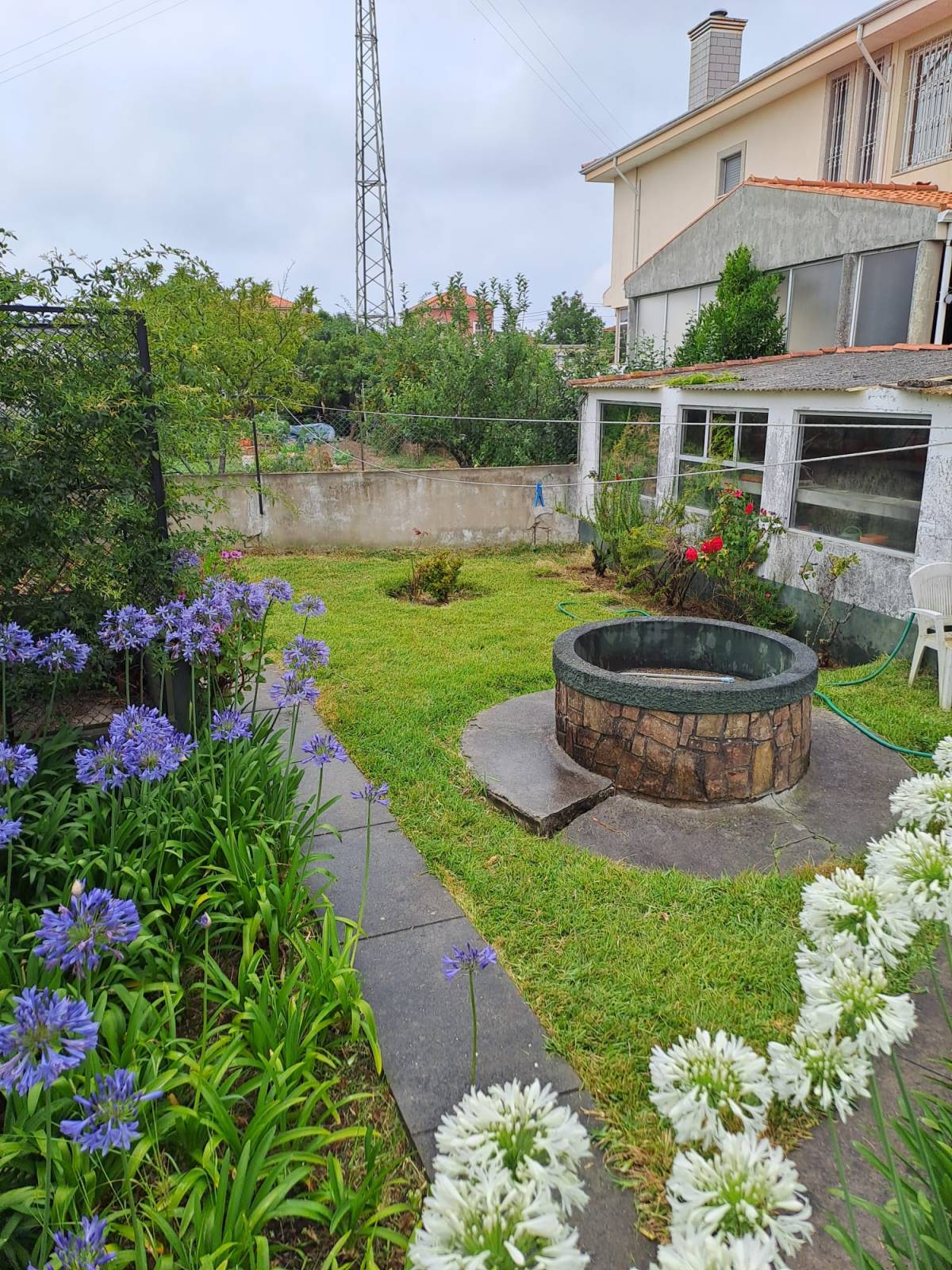HOLY WISDOM - Porto - Multi Service Lawn Care