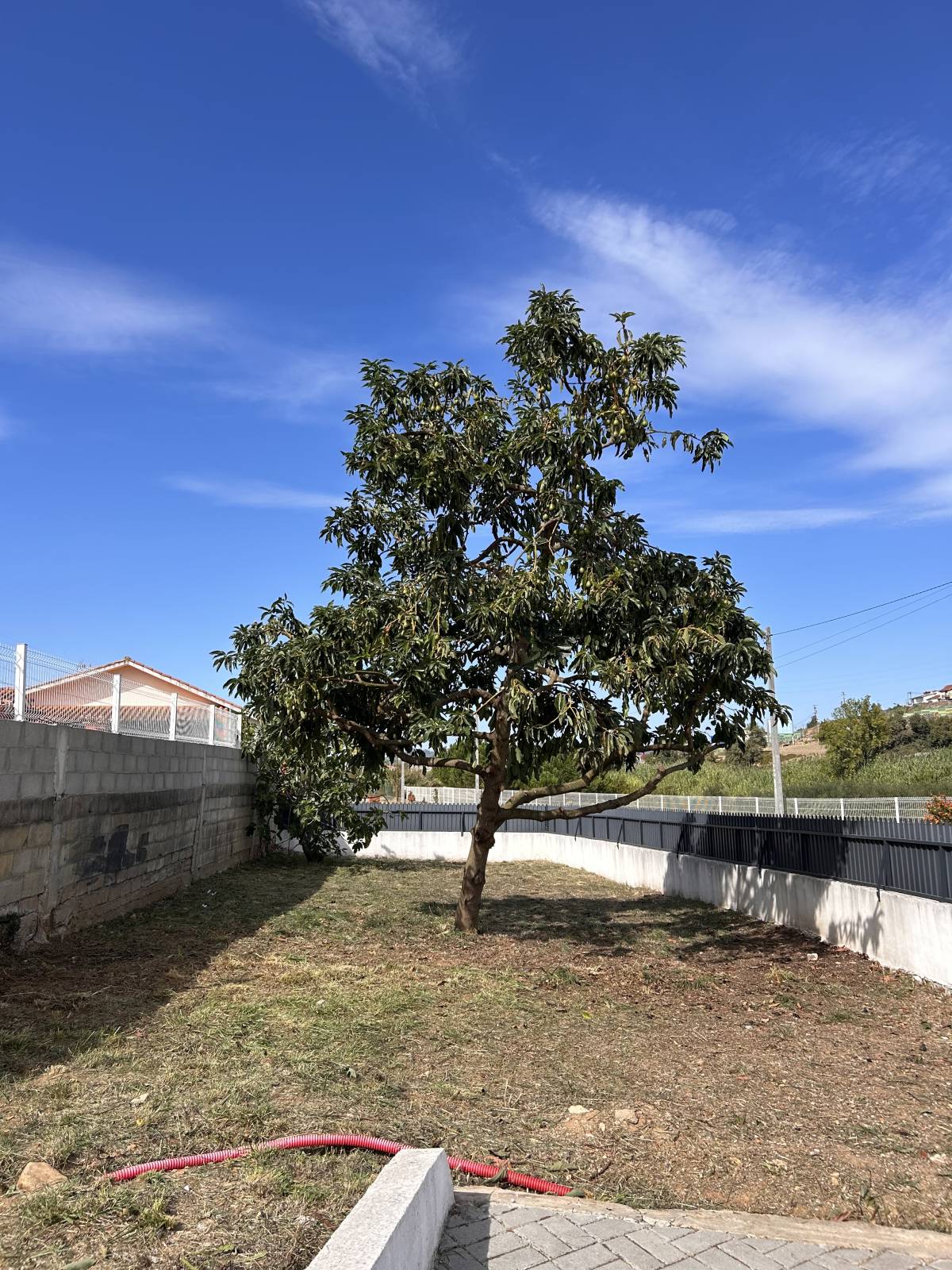 Forestwood - Montemor-o-Velho - Jardinería