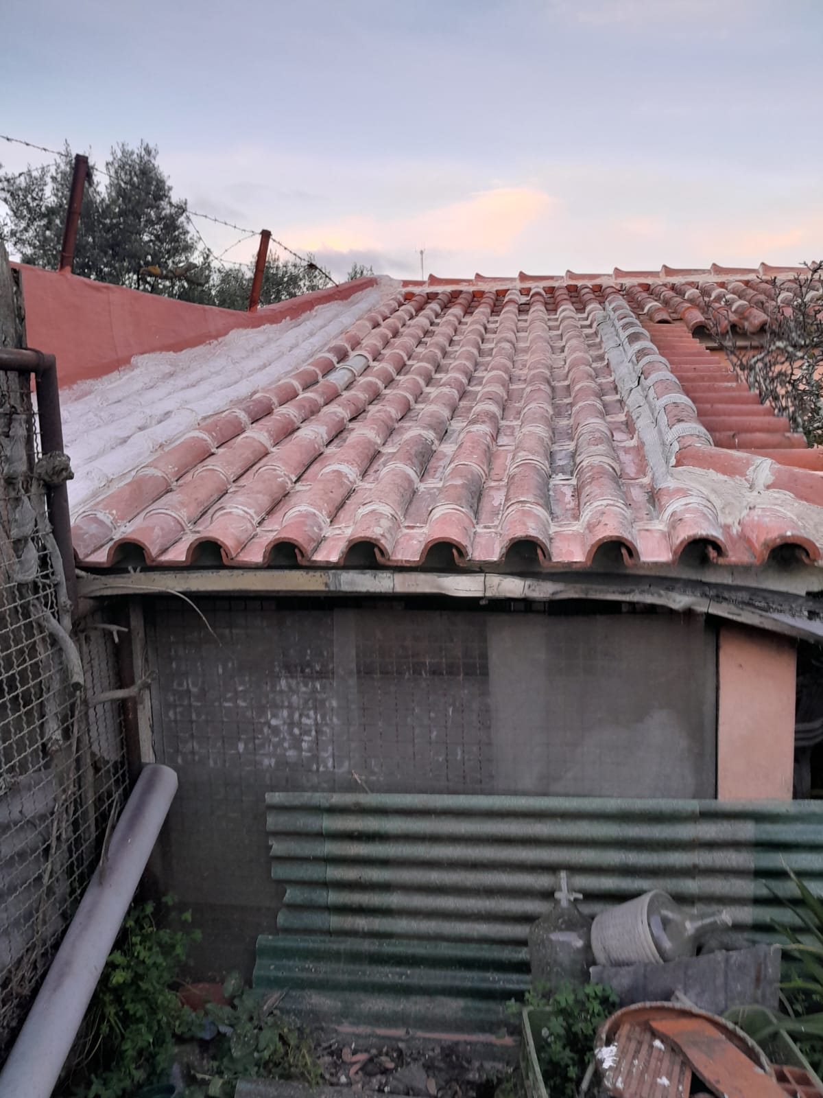 SF Especialista em Telhados - Tondela - Limpeza de Telhado