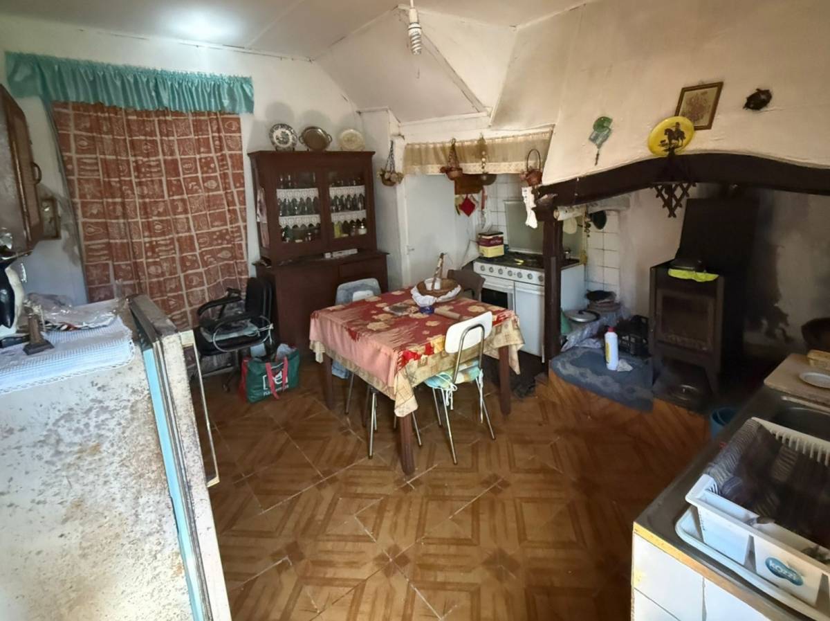 Figueira house renovations - Figueira da Foz - Enlèvement d'arbustes
