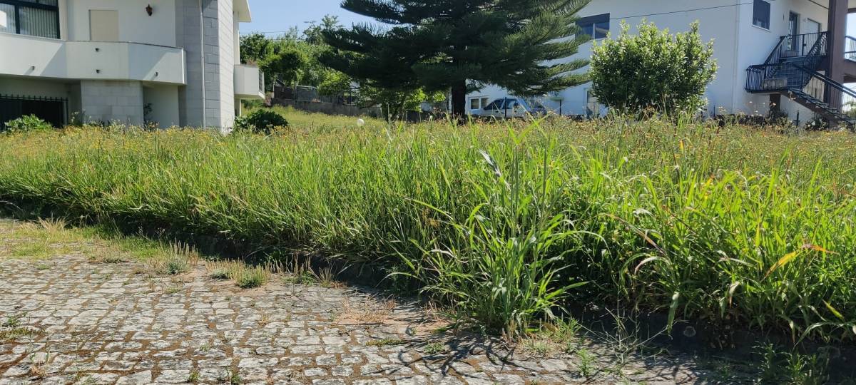 Corte e Aparação de Relvado