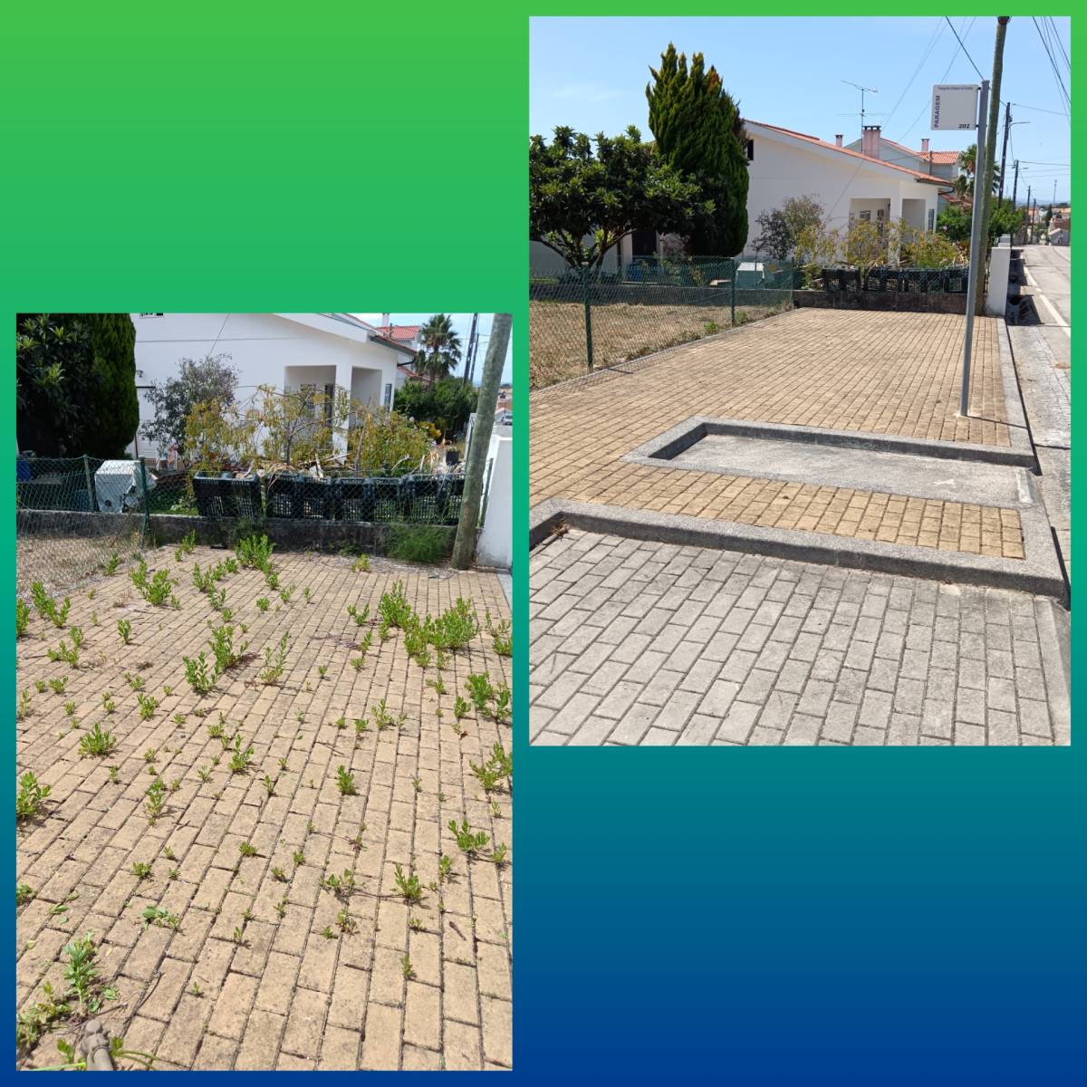 Luís Miranda - Coimbra - Tree Stump Grinding and Removal
